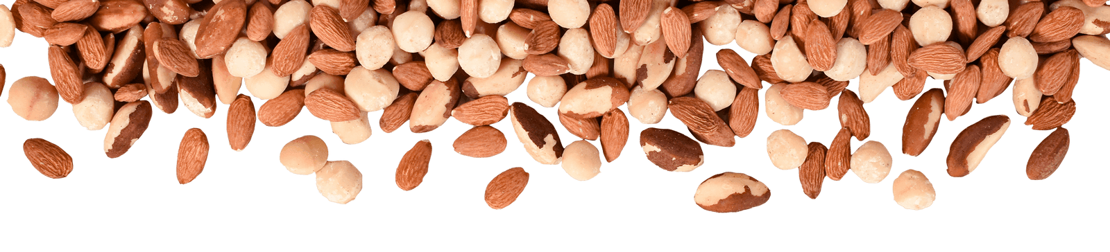 Raw nut deals suppliers